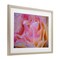 Stupell Industries Pink Floral Petals Palette Framed Print Under Glass, design by James Rodewald
